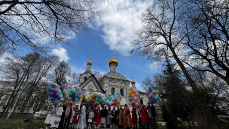 загруженное (12)